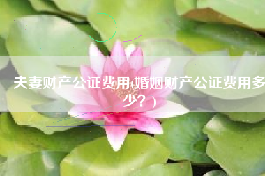 夫妻财产公证费用(婚姻财产公证费用多少？)