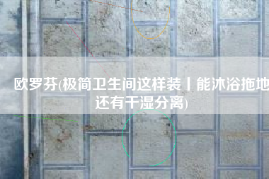 欧罗芬(极简卫生间这样装丨能沐浴拖地还有干湿分离)