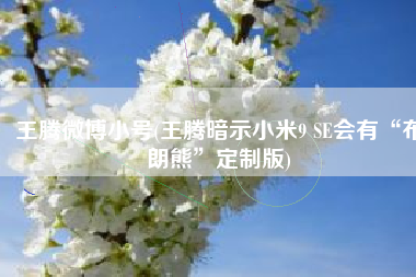王腾微博小号(王腾暗示小米9 SE会有“布朗熊”定制版)