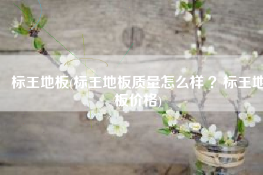 标王地板(标王地板质量怎么样 ？标王地板价格)