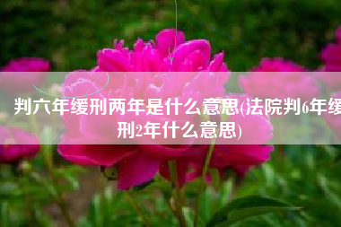判六年缓刑两年是什么意思(法院判6年缓刑2年什么意思)