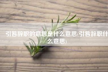 引咎辞职的意思是什么意思(引咎辞职什么意思)