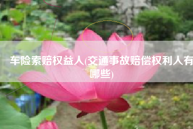 车险索赔权益人(交通事故赔偿权利人有哪些)