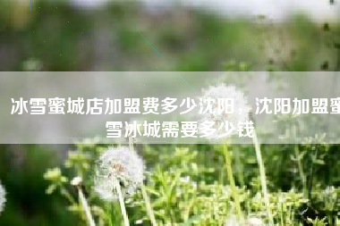 冰雪蜜城店加盟费多少沈阳，沈阳加盟蜜雪冰城需要多少钱