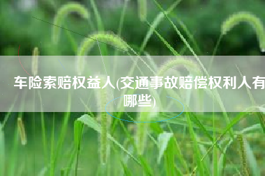 车险索赔权益人(交通事故赔偿权利人有哪些)