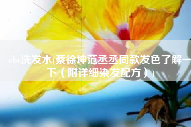 ebv洗发水(蔡徐坤范丞丞同款发色了解一下（附详细染发配方）)