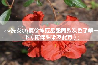 ebv洗发水(蔡徐坤范丞丞同款发色了解一下（附详细染发配方）)