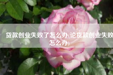 贷款创业失败了怎么办(论贷款创业失败怎么办)