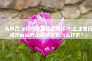 有限责任公司章程修正案样本(企业增资股东章程修正案范文是怎么样的？)