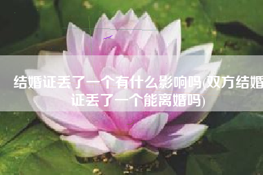 结婚证丢了一个有什么影响吗(双方结婚证丢了一个能离婚吗)