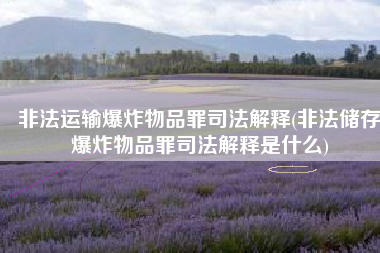 非法运输爆炸物品罪司法解释(非法储存爆炸物品罪司法解释是什么)