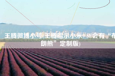 王腾微博小号(王腾暗示小米9 SE会有“布朗熊”定制版) 王腾微博小号(王腾暗示小米9 SE会有“布朗熊”定制版)
