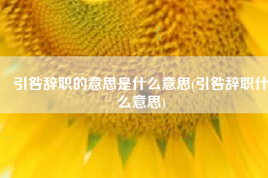 引咎辞职的意思是什么意思(引咎辞职什么意思)