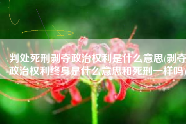 判处死刑剥夺政治权利是什么意思(剥夺政治权利终身是什么意思和死刑一样吗)