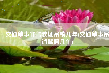 交通肇事罪驾驶证吊销几年(交通肇事吊销驾照几年)