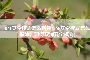 DNF安全模式怎么解除(DNF安全模式怎么解除，如何取消安全模式)
