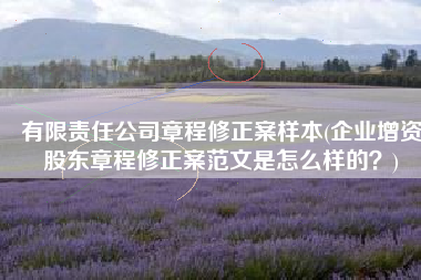 有限责任公司章程修正案样本(企业增资股东章程修正案范文是怎么样的？)