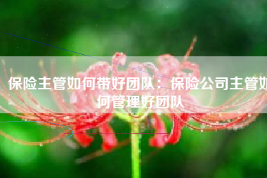 保险主管如何带好团队：保险公司主管如何管理好团队