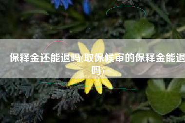 保释金还能退吗(取保候审的保释金能退吗)