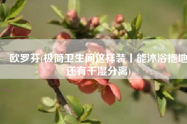 欧罗芬(极简卫生间这样装丨能沐浴拖地还有干湿分离)
