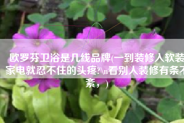 欧罗芬卫浴是几线品牌(一到装修入软装家电就忍不住的头疼?\n看别人装修有条不紊，)