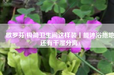 欧罗芬(极简卫生间这样装丨能沐浴拖地还有干湿分离)