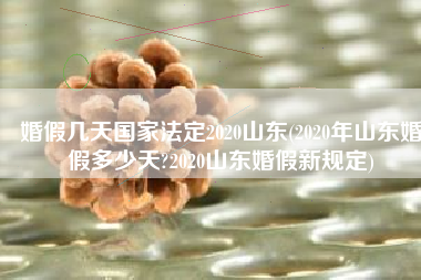 婚假几天国家法定2020山东(2020年山东婚假多少天?2020山东婚假新规定)