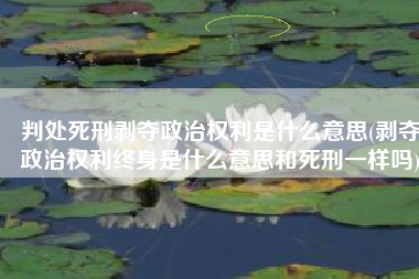 判处死刑剥夺政治权利是什么意思(剥夺政治权利终身是什么意思和死刑一样吗)