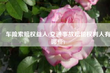 车险索赔权益人(交通事故赔偿权利人有哪些)