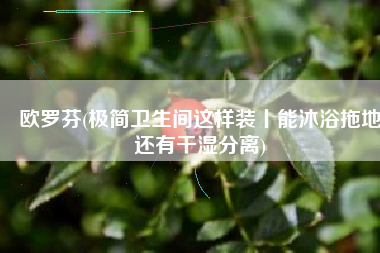 欧罗芬(极简卫生间这样装丨能沐浴拖地还有干湿分离)