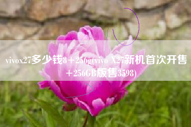 vivox27多少钱8+256g(vivo X27新机首次开售 8+256GB版售3598)