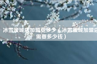 冰雪蜜城店加盟费多少（冰雪蜜城加盟店需要多少钱）