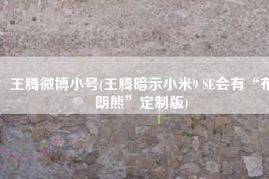 王腾微博小号(王腾暗示小米9 SE会有“布朗熊”定制版)