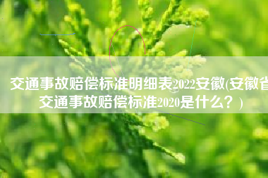 交通事故赔偿标准明细表2022安徽(安徽省交通事故赔偿标准2020是什么？)