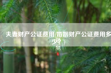 夫妻财产公证费用(婚姻财产公证费用多少？)
