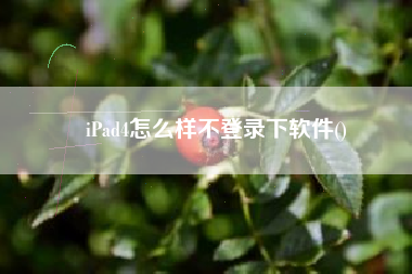 iPad4怎么样不登录下软件()