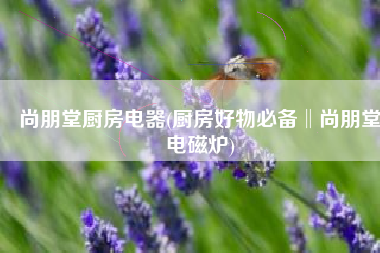 尚朋堂厨房电器(厨房好物必备‖尚朋堂电磁炉)