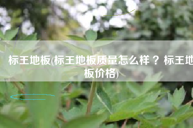 标王地板(标王地板质量怎么样 ？标王地板价格)