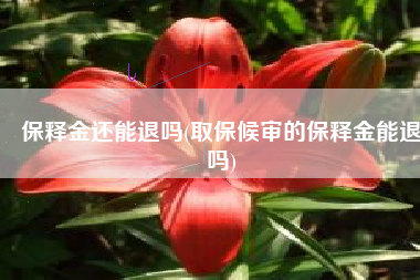 保释金还能退吗(取保候审的保释金能退吗)