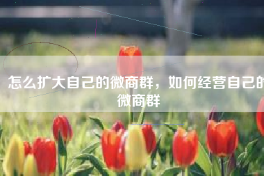 怎么扩大自己的微商群，如何经营自己的微商群