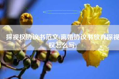 探视权协议书范文(离婚协议书放弃探视权怎么写)