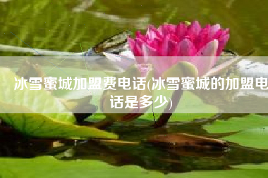 冰雪蜜城加盟费电话(冰雪蜜城的加盟电话是多少)