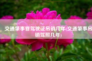 交通肇事罪驾驶证吊销几年(交通肇事吊销驾照几年)