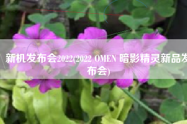 新机发布会2022(2022 OMEN 暗影精灵新品发布会)