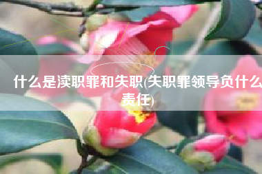 什么是渎职罪和失职(失职罪领导负什么责任)