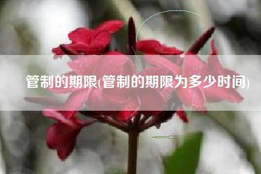 管制的期限(管制的期限为多少时间)