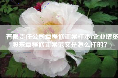 有限责任公司章程修正案样本(企业增资股东章程修正案范文是怎么样的？)