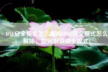 DNF安全模式怎么解除(DNF安全模式怎么解除，如何取消安全模式)