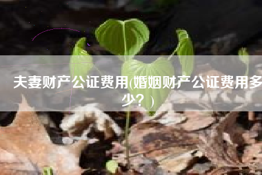 夫妻财产公证费用(婚姻财产公证费用多少？)