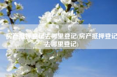 房产抵押登记去哪里登记(房产抵押登记去哪里登记)